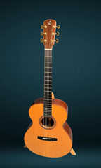 Blanchard Bristlecone guitar for sale