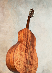 Branzell Tone Top All Koa guitar glam shot back