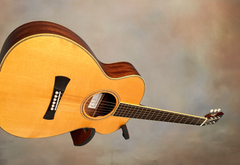 Brondel C3 Sapele guitar glam shot