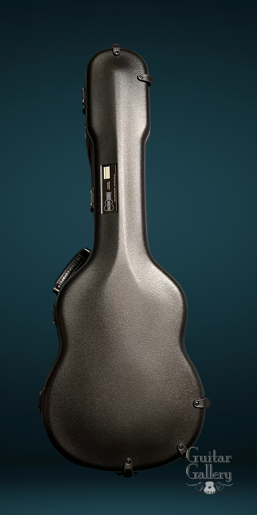 Fender telecaster case for sale deals