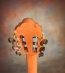 Cadiz Concert classical guitar back of headstock
