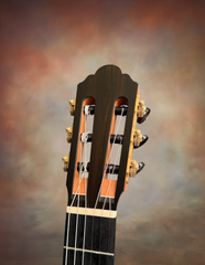 Cadiz Concert classical guitar headstock with Scheller tuners