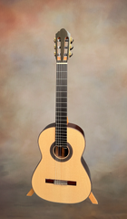 Cadiz Concert classical guitar for sale