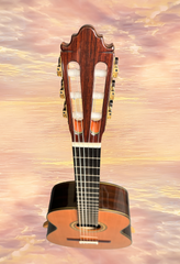 Vicente Carrillo India 1A Primera Cedar EIRW 640mm Classical Guitar