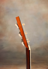 Collings 01-A-TS mahogany guitar neck side dots