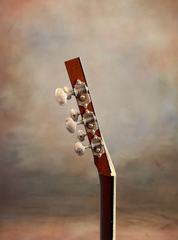 Collings 001 TS 12fret guitar tuners