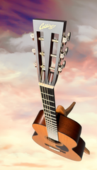 Collings 001 TS 12fret guitar glam shot