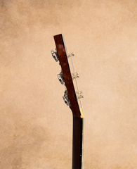 Collings 02-G guitar neck side dots