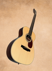 Collings 02-G guitar glam shot