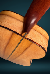 Cumpiano Sycamore OM guitar down back view