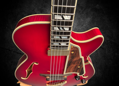D'angelico New Yorker Excel Soho archtop fretboard