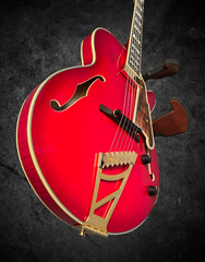 D'angelico New Yorker Excel Soho archtop glam shot