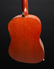 Martin Ditson Dreadnaught 111 mahogany back