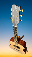 ELB Grand Concert Bubinga guitar promo shot