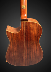 Hiro Ebata Style D cutaway guitar back