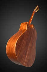 Hiro Ebata Style D cutaway guitar glam shot back