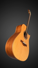 Hiro Ebata Style D cutaway guitar glam shot