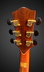 Hiro Ebata Style D cutaway guitar tuners