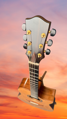 Hiro Ebata Style D cutaway guitar promo shot
