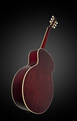 Flammang EL35 guitar glam shot back