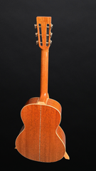 Froggy Bottom A12 Dlx Sunburst Mahogany guitar full back view