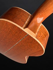Froggy Bottom A12 Dlx Sunburst Mahogany guitar down the back