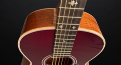 Froggy Bottom A12 Dlx Sunburst Mahogany guitar fleur de lis fretboard inlays