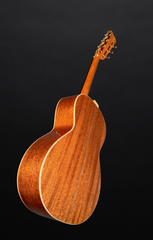 Froggy Bottom A12 Dlx Sunburst Mahogany guitar glam shot back