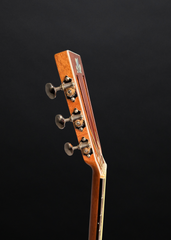 Froggy Bottom A12 Dlx Sunburst Mahogany guitar nickel Waverly tuners