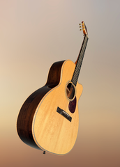Froggy Bottom H12c Brazilian rosewood guitar glam shot