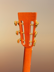 Froggy Bottom H12c Brazilian rosewood guitar gold tuners