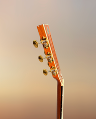 Froggy Bottom H12c Brazilian rosewood guitar neck side dots