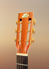 Froggy Bottom H12c Brazilian rosewood guitar slotted headstock