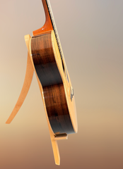 Froggy Bottom H12c Brazilian rosewood guitar side