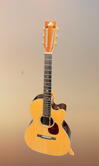 Froggy Bottom H12c Brazilian rosewood guitar for sale