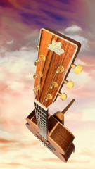 Froggy Bottom H14 Indian rosewood guitar promo shot