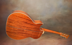 Froggy Bottom H14c guitar glam shot back
