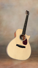 Froggy Bottom H14c guitar glam shot