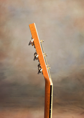 Froggy Bottom H14c guitar side dots neck