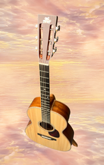 Froggy Bottom H-12 Dlx Mahogany Guitar