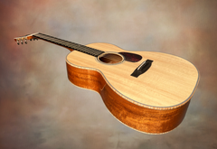 Froggy Bottom H12 dlx mahogany guitar glam shot