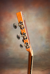 Froggy Bottom H12 dlx mahogany guitar neck side dots