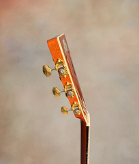 Froggy Bottom H12 Limited Brazilian rosewood guitar side dots