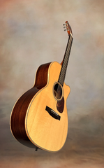 Froggy Bottom H12c guitar glam shot