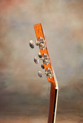 Froggy Bottom H12c guitar neck side dots