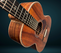 Froggy Bottom H12 Ltd All Koa guitar 2598 with ebony fretboard