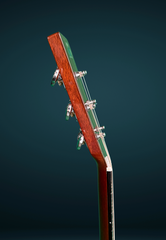Froggy Bottom K Std Mahogany guitar neck side dots