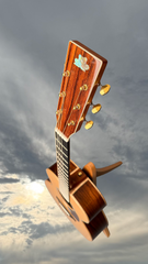 Froggy Bottom M Dlx Brazilian Rosewood Guitar