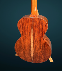 Froggy Bottom M dlx Guatemalan rosewood guitar back view
