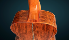 Froggy Bottom M dlx Guatemalan rosewood guitar heel
